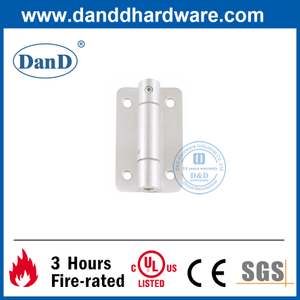 SUS316 Single Action Spring Loaded Door Hinge-DDSS035